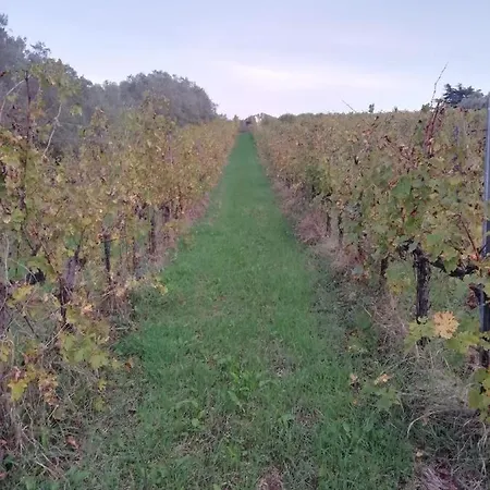 La Campagna Di Rosy *